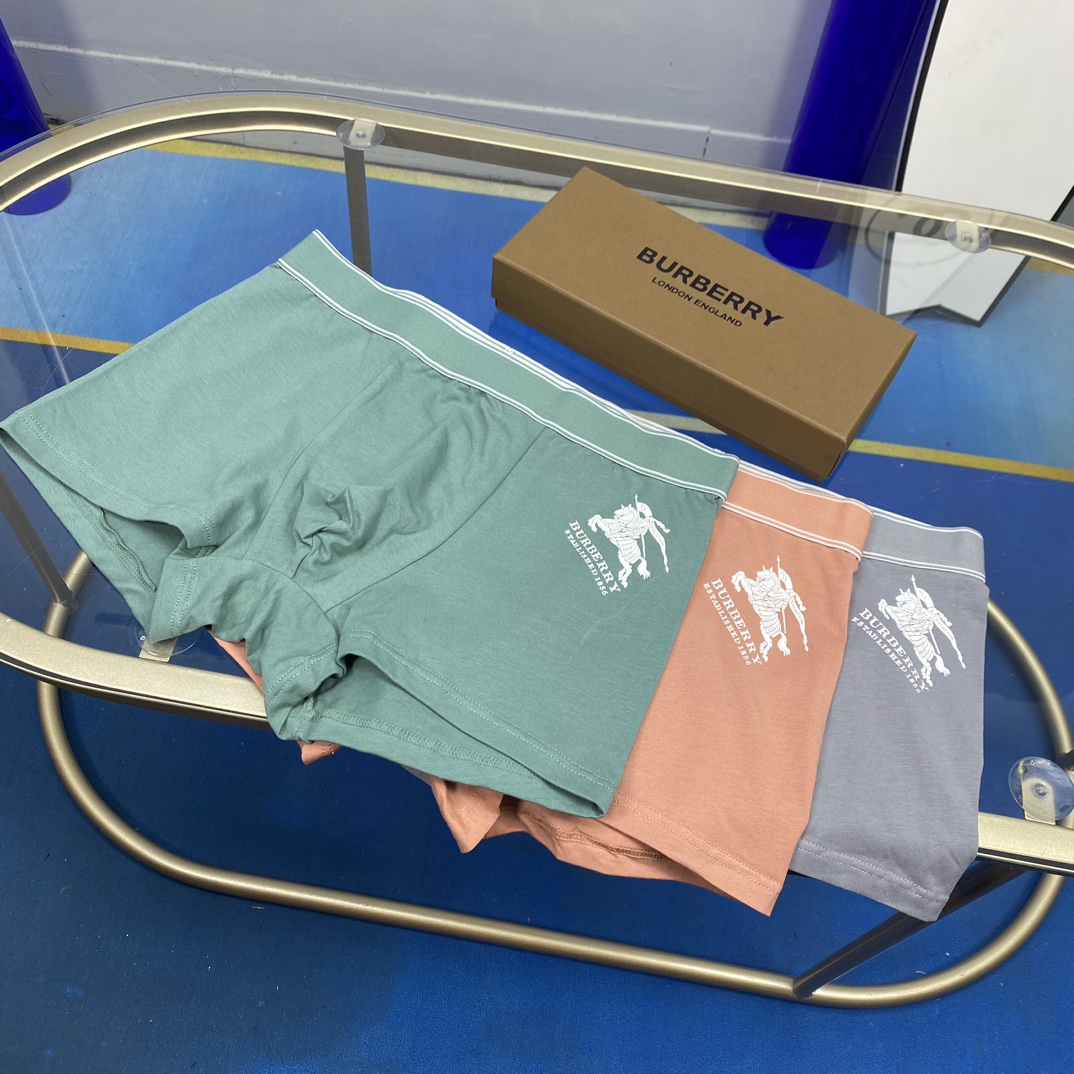 Burberry boxer L-3XL 46 (5)